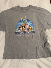 Walt Disney World Where Dreams Come True Gray T Shirt Cast Characters XL 22x26 picture