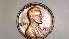1955 No Mint Mark (P) Lincoln Wheat Penny nice color tone DDO/Letters on rim/DD picture