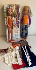 Vtg 1971 Ideal  Brandi Funky Feathers & Rare Clothing Lot Excellent Condition picture