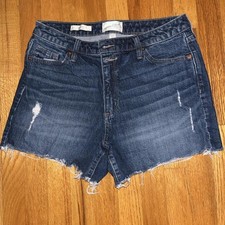 Universal Thread Women's Blue and Navy Shorts picture