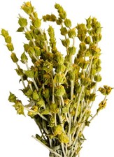 Greek Mountain Tea Sideritis Organic Dried Herb 100% Natural (2026 harvest) picture