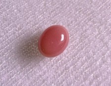 1.7ct Natural Conch Pearl. Oval Shape and Pink Color picture