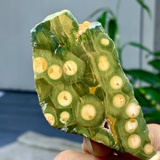 65G Natural Bumblebee Ocean Jasper Quartz Crystal Specimen Healing/Madagascar picture