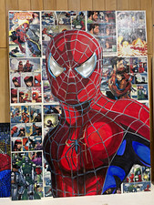 Original Spider-Man Signed Large Painting Comic Panel Collage 30x40 Acrylics picture