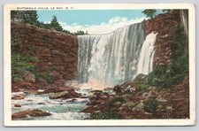 Buttermilk Falls, Le Roy NY New York Vintage Postcard 1925 Tichnor picture