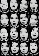11x17 Bjork Poster Expression Photography 1994 picture
