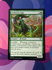 Evolution Sage | *% Off 2+ | Lorwyn Eclipsed | NM | MTG picture