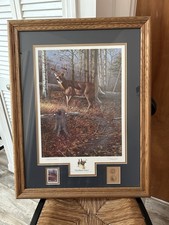 G&B Promotions Harry Antis Woodland Prince 1993 Framed Signed Deer Print picture