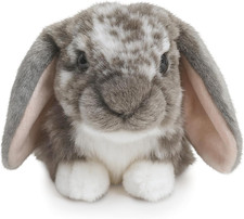 Grey Dutch Lop Eared Rabbit Stuffed Animal | Fluffy Rabbit Animal picture