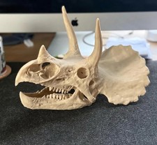 Triceratops Skull Replica 3D Printed picture
