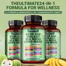 24-in-1 Soursop Shilajit Sea Moss Lion's Mane - Antioxidants, Joint, Skin Health picture