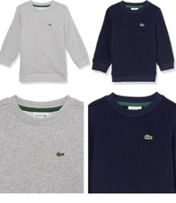 LACOSTE Kids Long Sleeve Regular Fit Crew Neck Sweatshirt GRAY | NAVY (2YR-16YR) picture