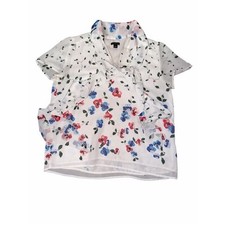 Ann Taylor Chiffon blouse picture