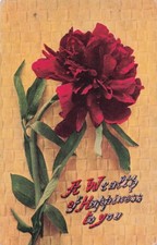 Postcard Vin(t2)SD,Viborg BestWishes/BasketBerries Emb,Red Carnation(2-P)896  picture
