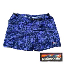 Vintage Patagonia Baggies Shorts Mens Large L Wave Ripple Belted Lined Swim picture