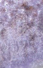 Burro Creek Agate rock slabs (2) lapidary cabbing rough picture