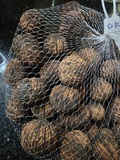 Delicious 2 Ib 2025  Wild Black Walnuts Hulled, Washed,  Dried. Organic  picture
