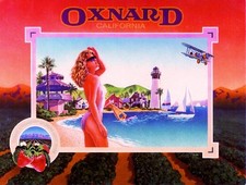 Oxnard Beach Airplane Strawberry Strawberries Fruit Crate Label Art Print picture