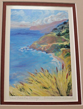 BIG SUR LITHOGRAPH HAND SIGNED;  GREAT  FOR CALIF. COAST FANS.  PRISTINE SHAPE picture