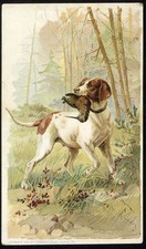 Hunting Dog ARBUCKLE'S Ariosa Coffee 1889 VICTORIAN Trade Card Cooking Notes picture