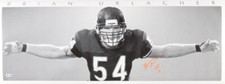 Brian Urlacher Signed Chicago Bears 15x40 Photo (Beckett)Hall of Fame Linebacker picture