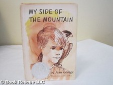 My Side of the Mountain picture