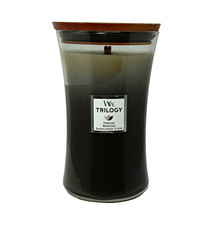WoodWick Trilogy Warm Woods Jar Candle Wood Lid Firesde Redwood Sandalwood Clove picture