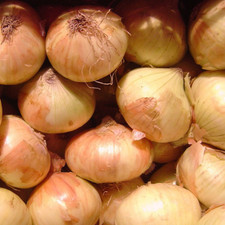 Walla Walla Sweet Onion Seeds | Heirloom / Non-GMO |  | 1067 picture