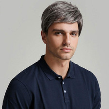Mens Gray Wig Short Layered Natural Synthetic Heat Resistant Halloween Cosplay C picture