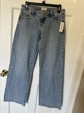 Pacsun Women's Blue Jeans Kaia Ultimate Low Rise Baggy Size 25 Regular NWT picture
