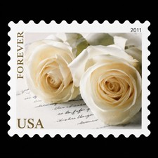 2011 Usps Forever Stamps Wedding White Rose 5 Sheets of 20 / 100 total picture