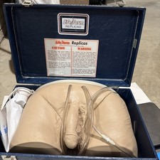NASCO Life form Male Catheterization Simulator Training LF855 picture