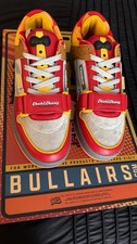 bull airs custom shoes picture