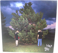 100 Gecs – 1000 Gecs - Dog Show Records – MDS003V - Vinyl LP Record Album 2019 picture