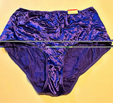 Cacique Sensual Curves  Brief Panties Plus 26/28  Satin Solid picture