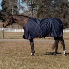 TuffRider 600 D Ripstop Standard Neck Light Weight Turnout Blanket with 100 GSM picture