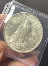 1922 Peace Dollar Almost Uncirculated In Plastic Sleeve picture