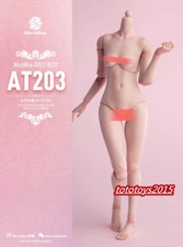 US Worldbox 1:6 AT203 Pale Skin Female Figure Body Hands Foot Accessory Doll picture