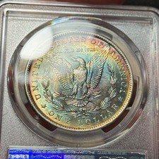 1884-O $1 MS63 Toned Morgan Silver Dollar - PCGS Gold Shield - Lovely Toning picture