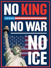 NO KINGS NO WAR NO ICE Vinyl Sticker 3.5 x 3.75 Inch🔥USA🔥DIE CUT🔥QUANTITY picture