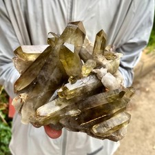 2.18LB Natural smoky black quartz cluster crystal mineral specimen healing picture