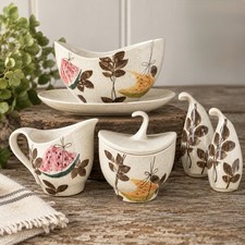Vintage Red Wing Pottery Tampico Pattern cream sugar, gravy, boat, salt, pepper picture