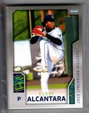 2025  LYNCHBURG HILLCATS SET COMPLETE NEW 34 CARDS picture