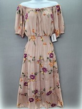 Anthropologie Kindred XL Blush Pink Dress Lined Embroidered Smocked Cottagecore picture