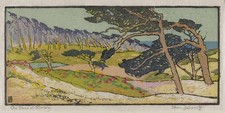 Pedro Lemos : Old Pines At Monterey : California Woodcut Arts & Crafts Movement picture