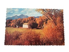 Postcard Autumn View Ranch Buildings foot of Mt Yale Colorado Vintage picture