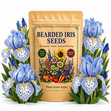 50 Bearded Iris Seeds - Garden Flowers for Home Planting Pollinator Beds picture