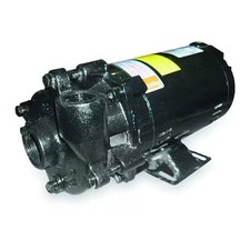 Dayton 2Zwp4 Cast Iron 3/4 Hp Centrifugal Pump 208-230/460V picture