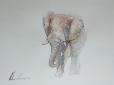 Elefant, Animal, Watercolor artwork, Handmade, Original painting on paper picture