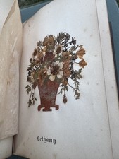 Antique Wild Flowers of the Holy Land Book Pressed Flowers Jerusalem picture